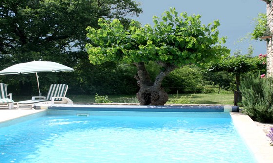 Le Mas Pellier et sa Piscine