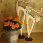 bachus_chats_fleurs245245