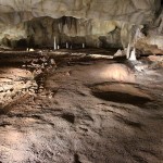 caverne_pont_d_arc_wikipedia_02_Ossements_BaugeOurs