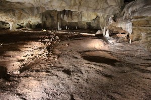 caverne_pont_d_arc_wikipedia_02_Ossements_BaugeOurs