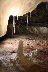 caverne_pont_d_arc_wikipedia_05_Fistuleuses