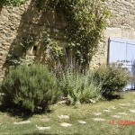 SITE  EXTERIEUR 008