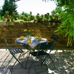 chambre d'hôtes mimosas barjac ardèche