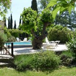 mas pellier gite piscine ardèche barjac